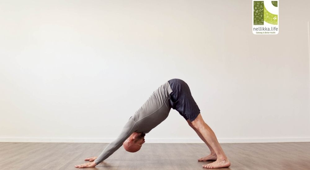 Adho Mukha Svanasana: Science, Benefits & Anatomy