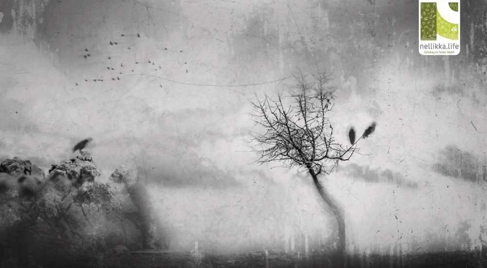 When Memories Fade: The Truth About Alzheimer’s and What You Can Do