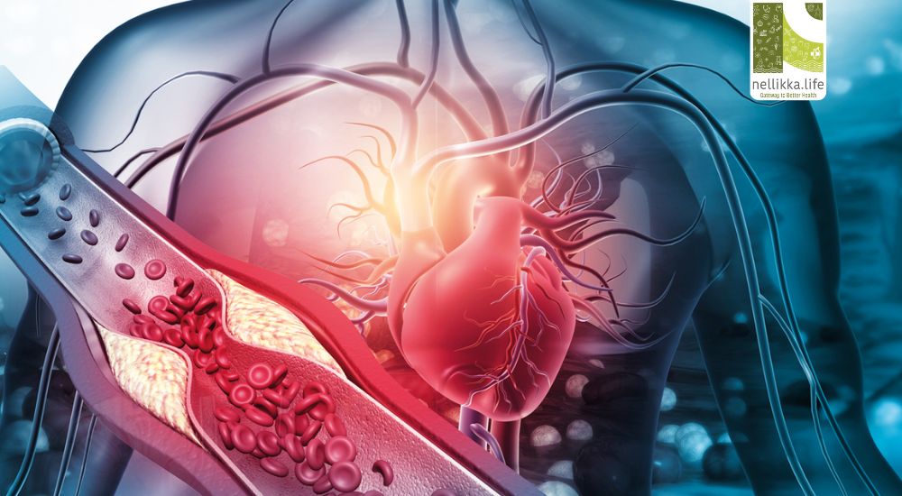 Coronary Heart Disease (CHD): The Silent Strain on the Heart