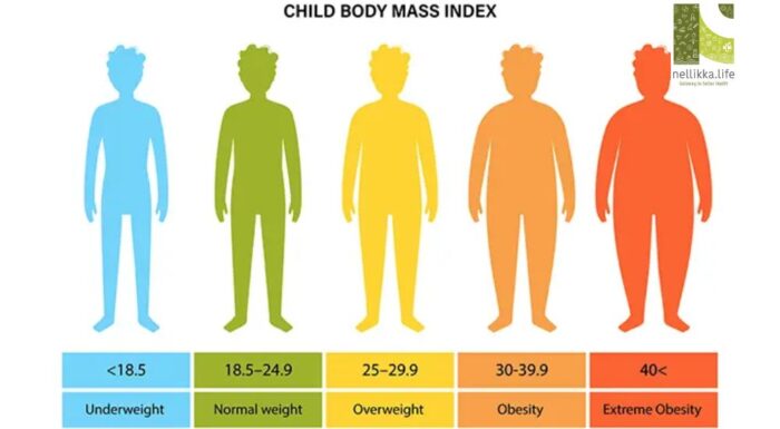 What Is Your Child’s BMI—and Why It Matters for Their Health