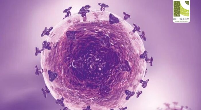 Herpes Simplex Virus (HSV): What You Need to Know