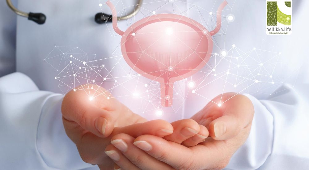 Understanding Bladder Problems: Causes, Symptoms & When to Seek Help