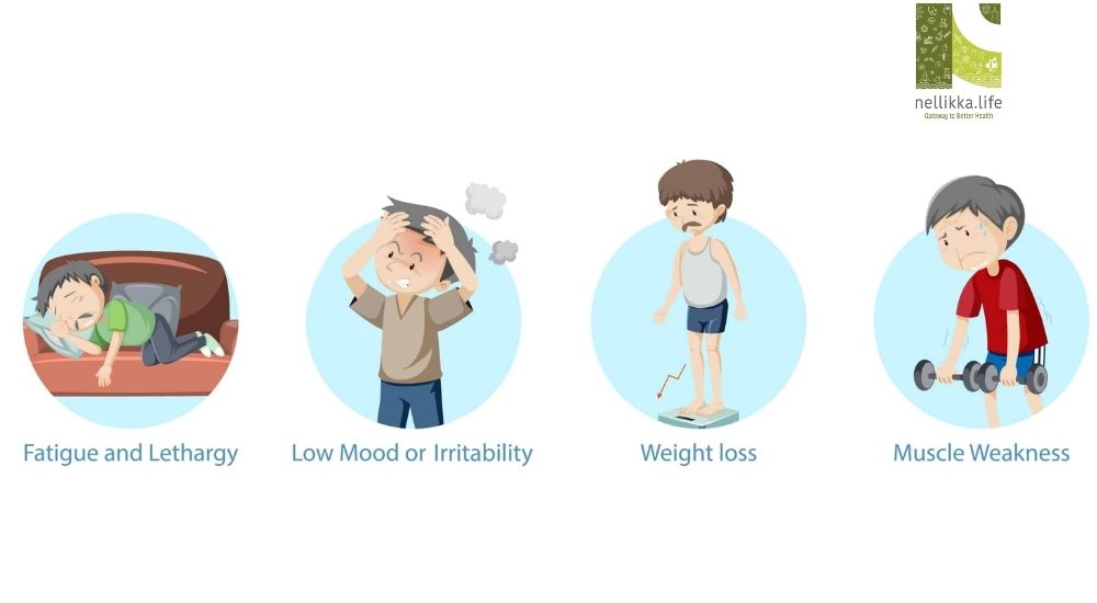 Addison’s Disease: Understanding the Silent Underdog of Hormonal Disorders