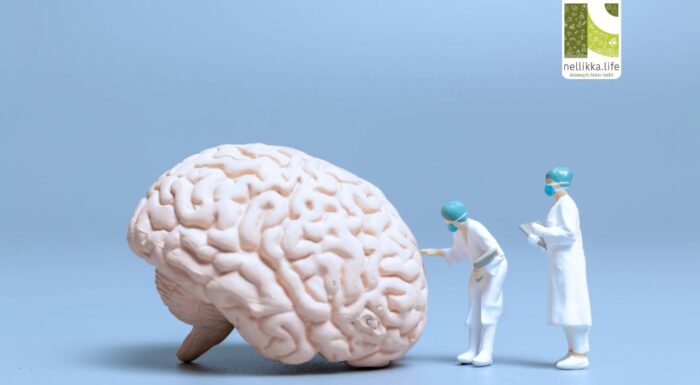 The Brain Feels No Pain: A Scientific Look at the Most Powerful Organ