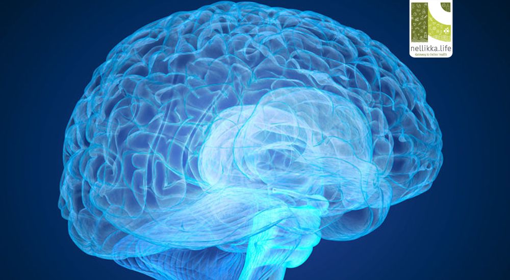 HPDL Deficiency: A Rare Genetic Disorder Affecting the Brain