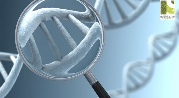 Genetic Testing for Hereditary Cancer: How It Works (and What to Expect)
