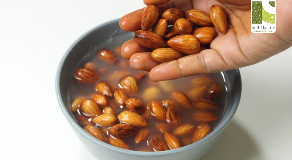 Why Should You Soak Almonds and Peel the Skin Before Eating? – The Science Behind the Tradition