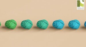 Your Brain Shrinks After 40—Music Can Reverse It