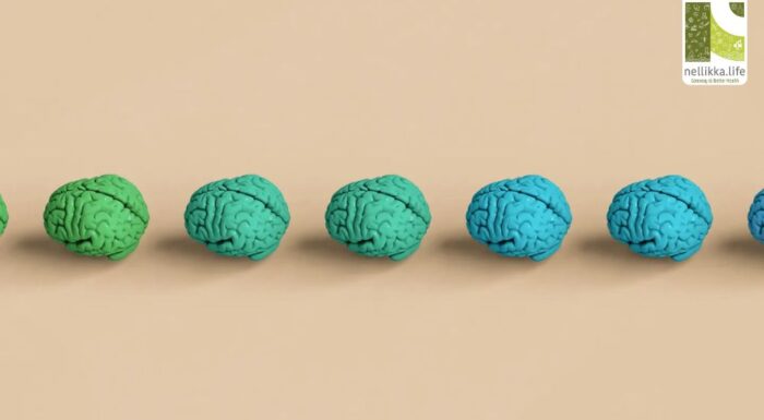 Your Brain Shrinks After 40—Music Can Reverse It
