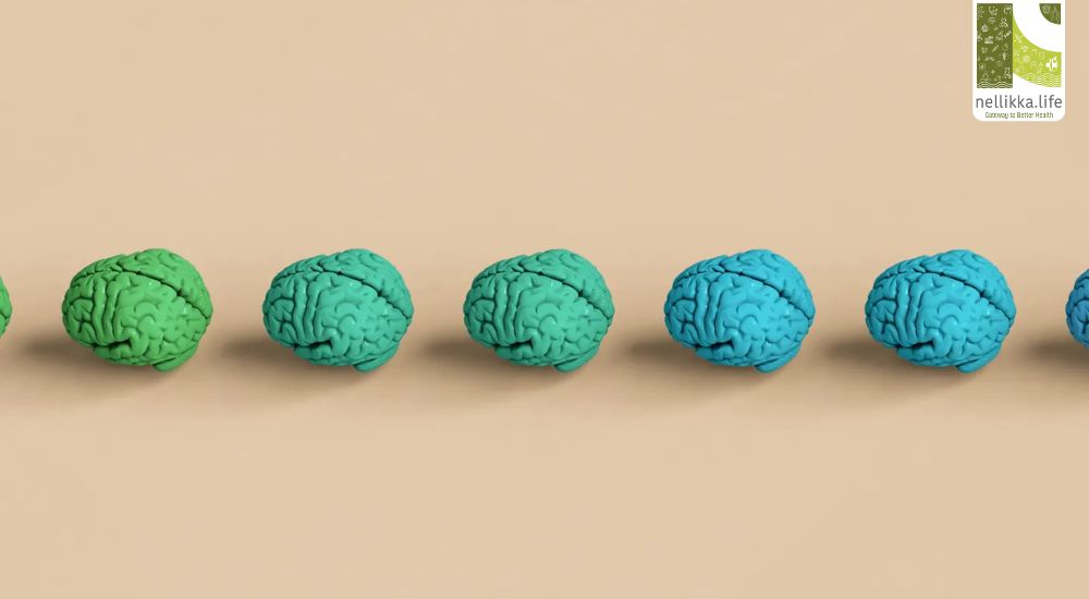 Your Brain Shrinks After 40—Music Can Reverse It