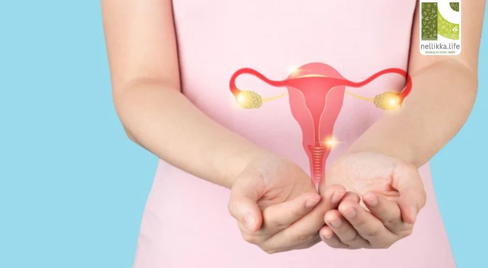 PCOS: Understanding Polycystic Ovary Syndrome and How to Manage It