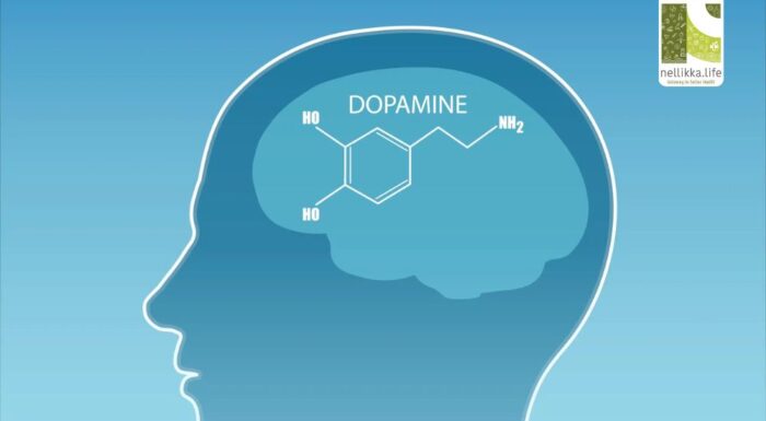 Dopamine: The Brain’s Chemical Messenger That Shapes Our Lives