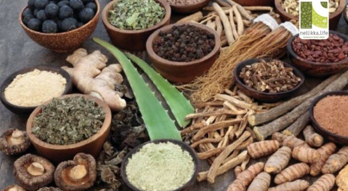 ദേശീയ ആയുർവേദ ദിനം 2025: മനുഷ്യരാശിയ്ക്കും പ്രകൃതിക്കും സുരക്ഷയേകും ജീവിതശാസ്ത്രം