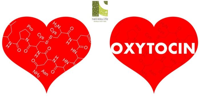 Oxytocin – The Love Hormone That Shapes Human Connection