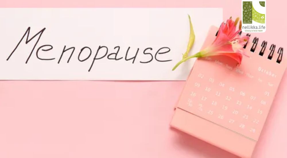 Perimenopause & Menopause Wellness: Navigating Change with Strength