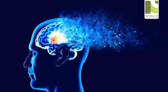 Stroke, Dementia & Beyond: High Blood Pressure and Your Brain