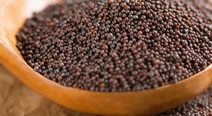 The Science of Mustard Seed Tempering: Why That Splutter Matters in Cooking