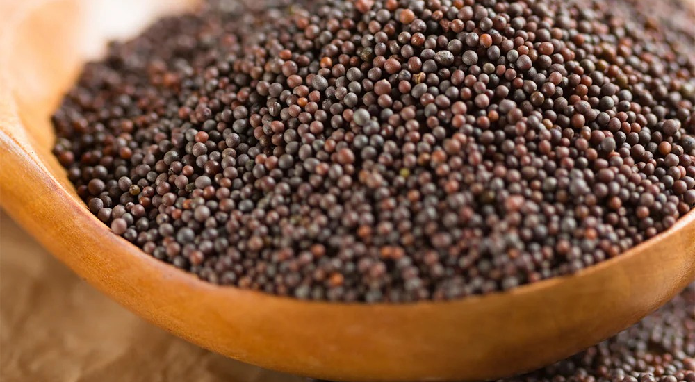 The Science of Mustard Seed Tempering: Why That Splutter Matters in Cooking