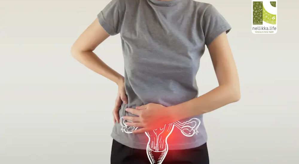 Pelvic Health Matters: Every Woman’s Foundation of Wellness