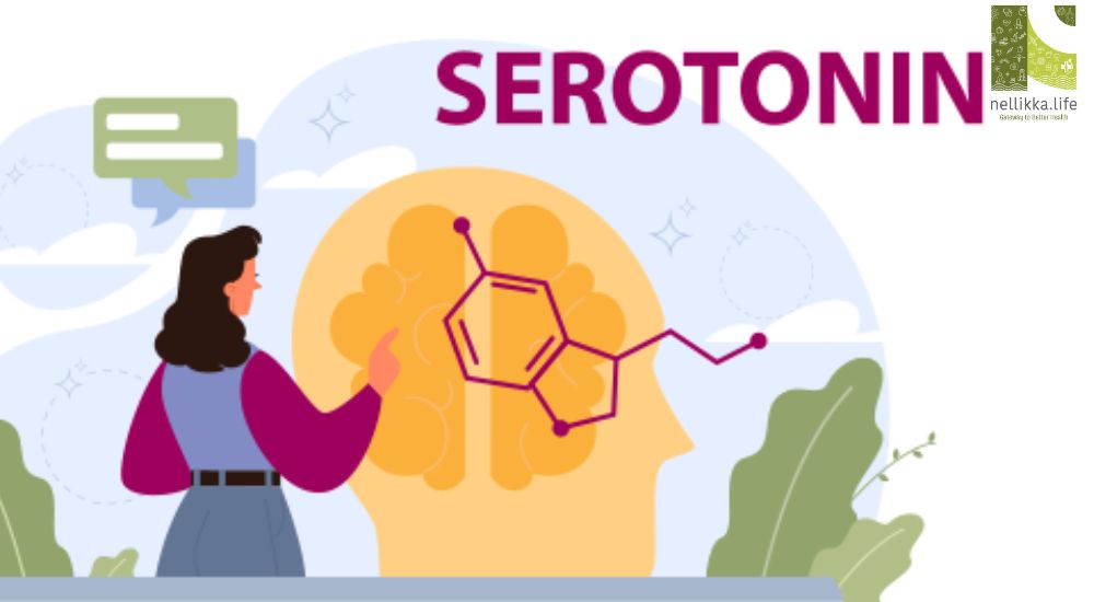 Serotonin: The Mood Stabilizer You Need to Know About