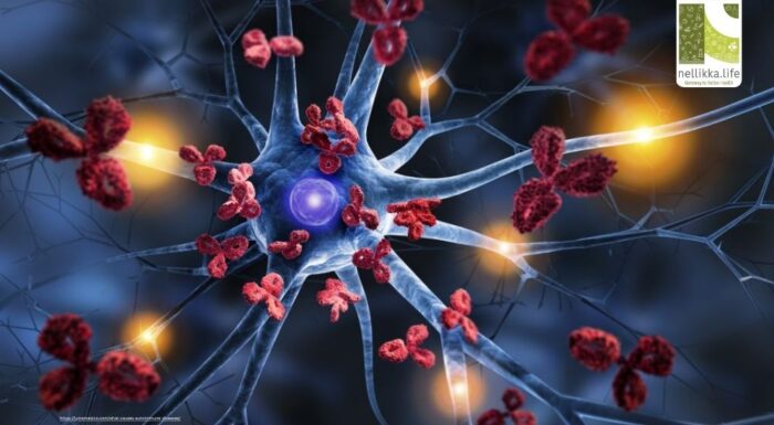 Autoimmune Diseases: When the Body Turns Against Itself