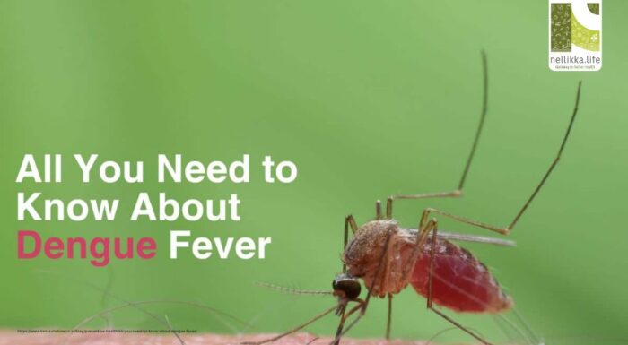 Dengue Fever: How It Spreads, What Causes It, and How to Protect Yourself