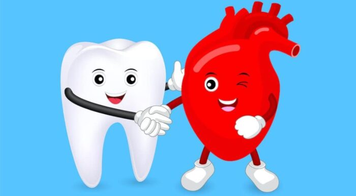 The Hidden Connection Between Your Gums and Your Heart: What Science Says
