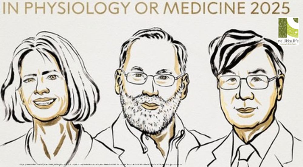 The 2025 Nobel Prize in Physiology or Medicine: Unlocking the “Brakes” of Our Immune System