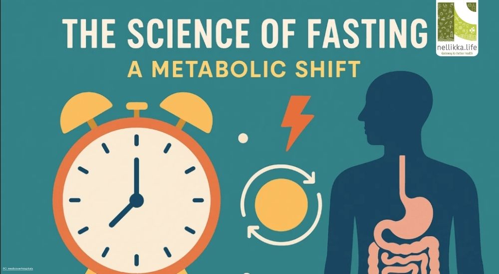 The Science of Fasting: What Modern Medicine Says Works Best