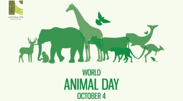 World Animal Day 2025: Why Animals Are Essential for the Survival of Our Planet