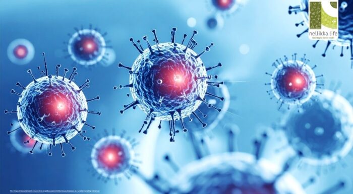 Hidden Germs Around You: Contagious Infections Everyone Should Be Aware Of