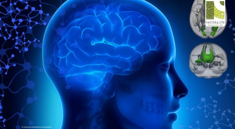 The Rise in Genetic Disorder Diagnoses: How Modern Science Is Redefining Human Health