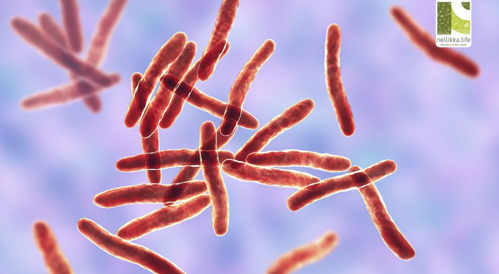 ബുറൂലി അൾസർ: വേദന അറിയിക്കാതെ ചർമ്മത്തെ നശിപ്പിക്കുന്ന അണുബാധ