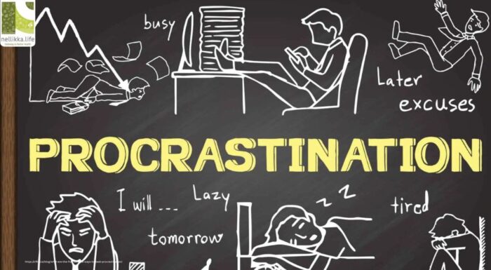 Rewire Your Mind: The Science of Breaking Free from Procrastination