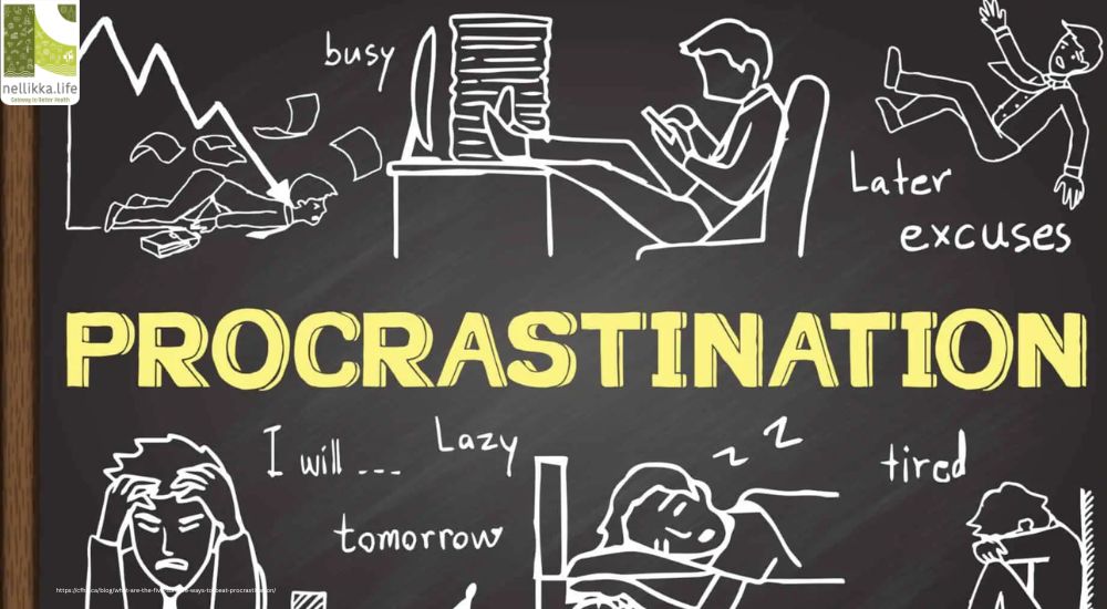 Rewire Your Mind: The Science of Breaking Free from Procrastination