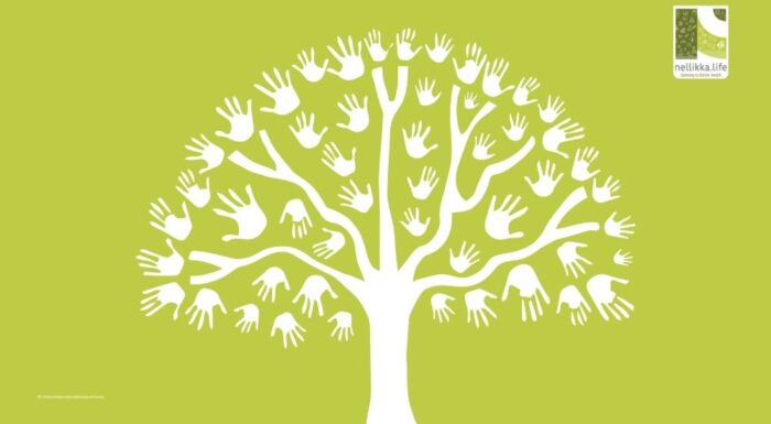 The Art of Letting Go: How Acceptance Therapy Heals the Modern Mind