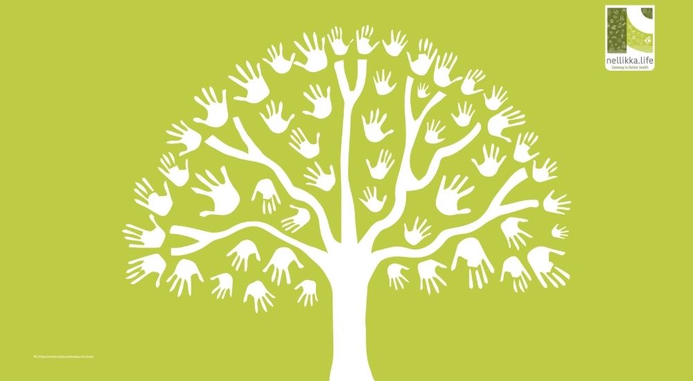 The Art of Letting Go: How Acceptance Therapy Heals the Modern Mind