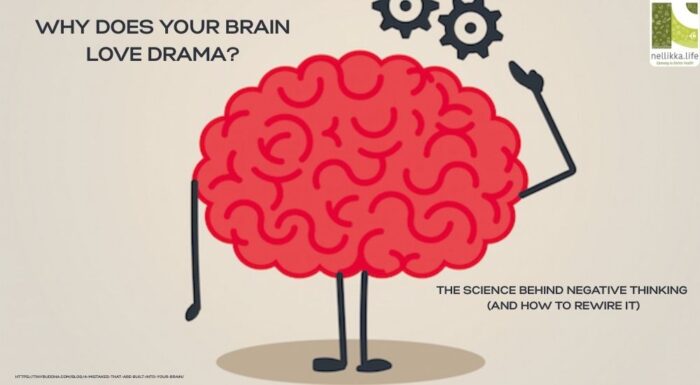 Why Does Your Brain Love Drama?