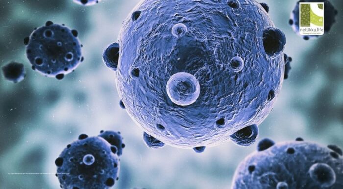 What Is the Immune System?