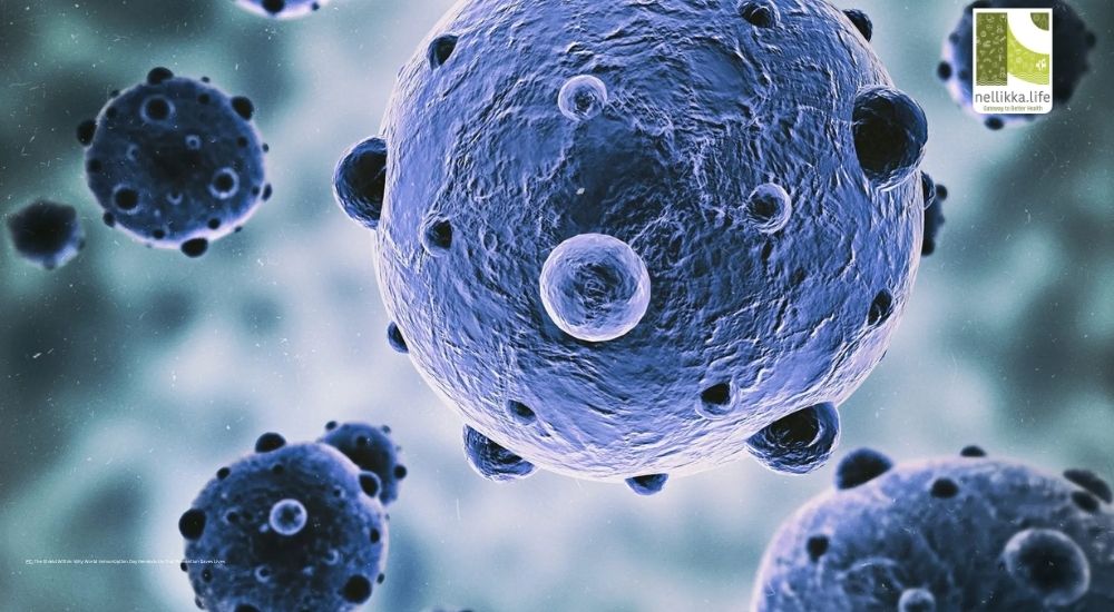 What Is the Immune System?