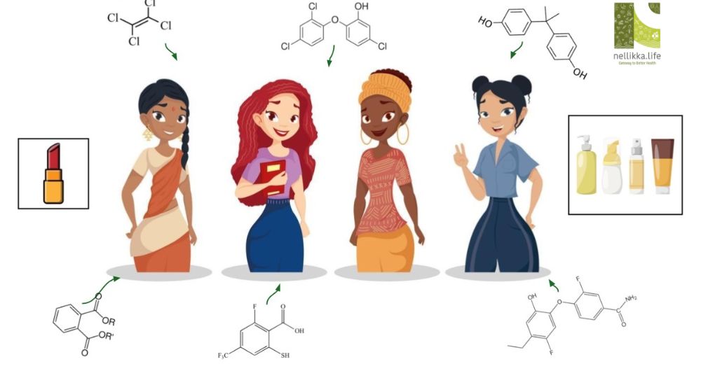 Silent Exposure: The Hidden Health Risks of Chemicals Among Indian Housewives