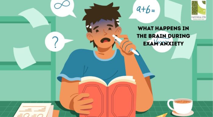 Fear of Exams: When Nervousness Becomes a Health Issue