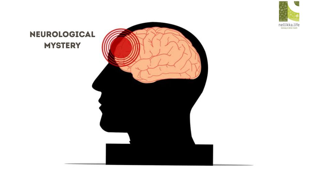 When the Brain Can’t Recognise: Understanding Agnosia