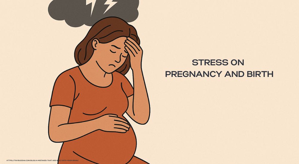 When Stress Speaks to the Womb: The Hidden Effects of Stress on Pregnancy and Birth