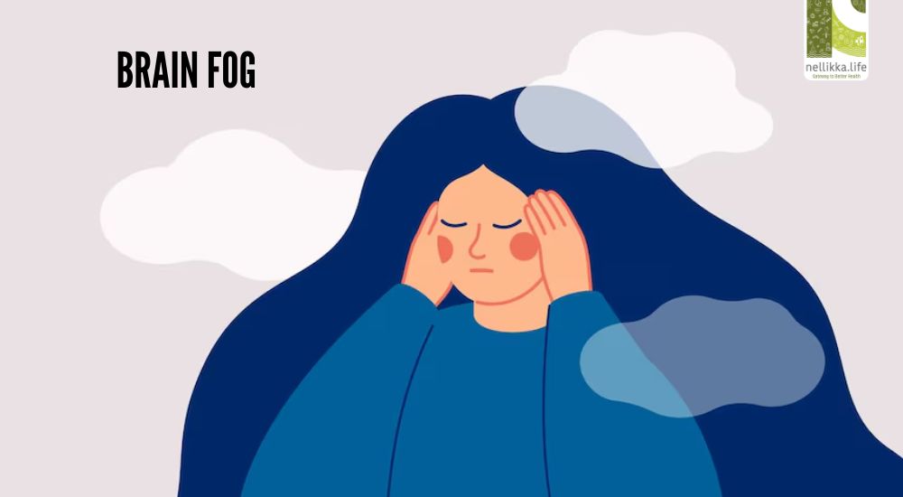 ബ്രെയിൻ ഫോഗ് : ചിന്തകളിലെ അവ്യക്തതയുടെ കാരണങ്ങളും പരിഹാര മാർഗ്ഗങ്ങളും  