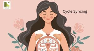 Cycle Syncing: What It Is & How to Use It for Better Health