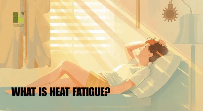 Why Do We Feel More Tired in Summer?