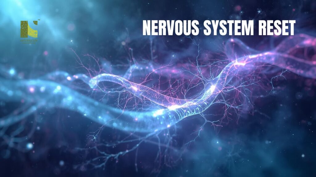 Nervous System Reset: How to Calm Your Body in a World That Never Switches Off