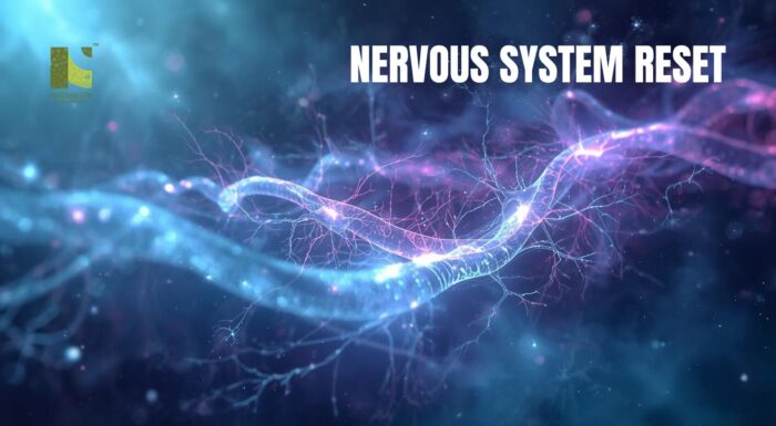 Nervous System Reset: How to Calm Your Body in a World That Never Switches Off