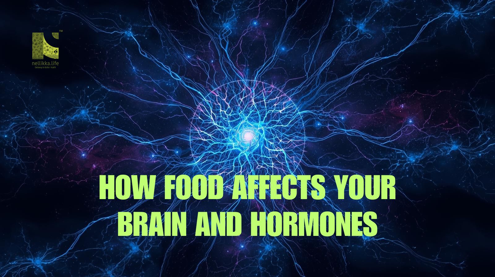 Why Nutrition Knowledge Matters More Than Willpower?